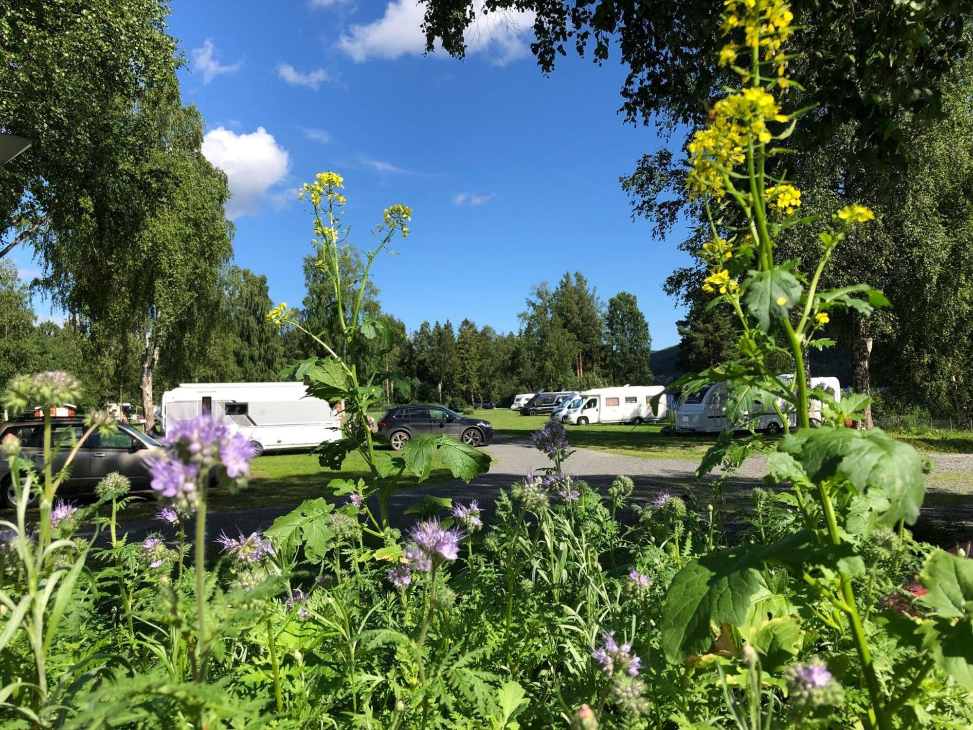 2 Persoons Stuga Hammarstrand Экстерьер фото